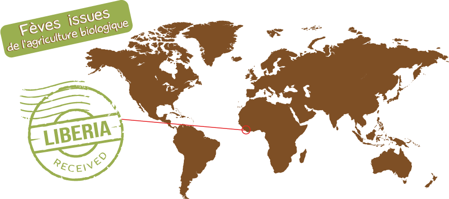 Origine de nos fèves de cacao pour notre chocolat bean to bar Libéria